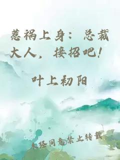 惹祸上身：总裁大人，接招吧！