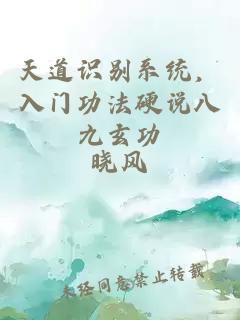 天道识别系统，入门功法硬说八九玄功