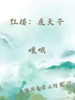 红楼：夜天子