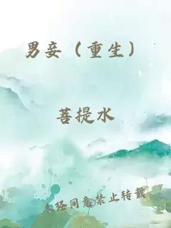 男妾（重生）
